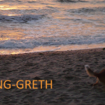 Headerbild-best friends zuschnitt