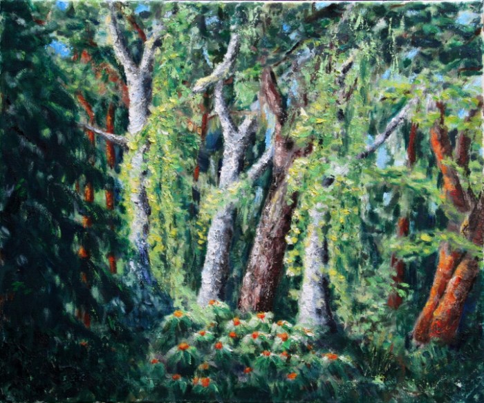 Bild Sommerwald I, 50 x 60 cm, Öl auf Leinwand, by Martina Witting-Greth