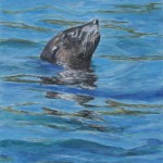 Bild sea lion, 60 x 50 cm, Acryl auf Leinwand, by Martina Witting-Greth