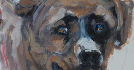 Bild 2020 Dog Series 003 by Martina Witting-Greth