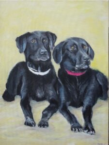 Die Auftragsarbeit Hundeportraits zeigt zwei schwarze Hunde