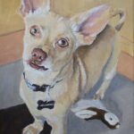 Auftragsbild Hundeportrait Rocky