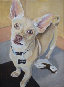 Auftragsbild Hundeportrait Rocky