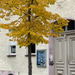 Galerie Kunstkasten am Haus